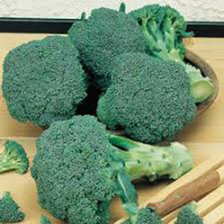Broccoli Groene Calebrese OB       Min.kvant 50 gr