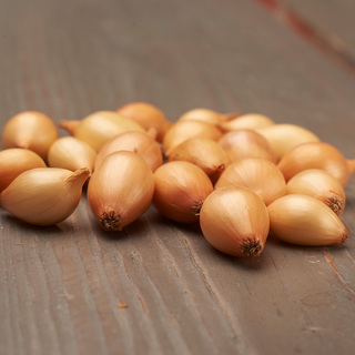 Sättlök Sturon EKO 10-21mm         Min.kvant 5kg