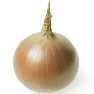 Lök Rockito F1 PF SB+ID MINI PELLETMin.kvant. 250K