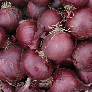 Stikløg Red Baron ØKO