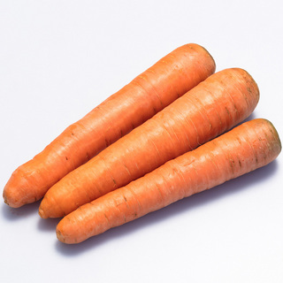 Gulerod Carruba F1 PF OFG          Min.mængde 25K