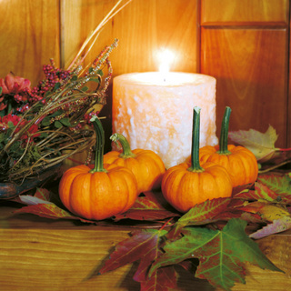 Græskar Gold Speck F1 OB,          min. mængde 50 frø