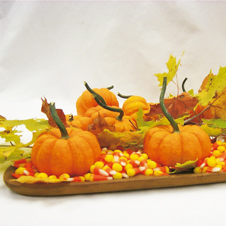 Græskar Jack-B-Quick OB,           min. mængde 50 frø