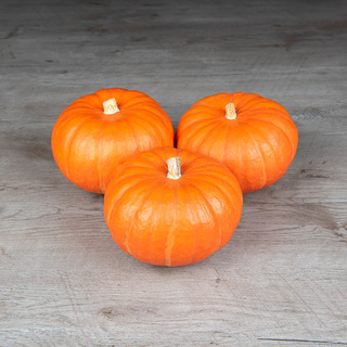 Hokkaidogræskar Caldor F1 ØKO,     min. mængde 100 frø