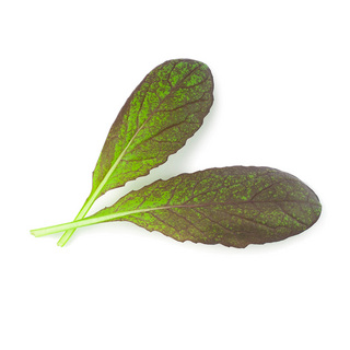Micro Mustard Red Lion OB          Min. kvant 50 gr
