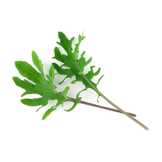 Micro - Kale Red Russian,          min. mængde 100 gr