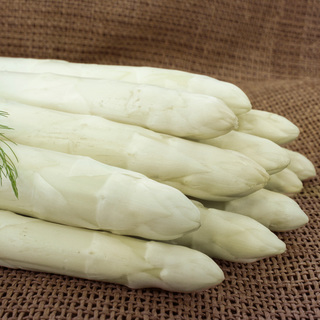 Sparrisplantor Rakete F1,          Plantor av A-kvalitet. 100st/bunt