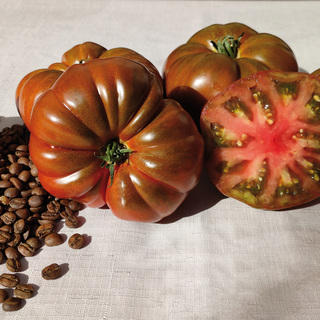 Tomat Cappuccino F1 OB             Min.kvant 50 frö (marmande typ)