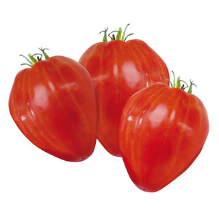 TOMAT COEUR DE BOEUF OB            (Frø)