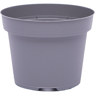 Modiform Thomsen KP 12,            royal grey, LPP, 24 080 st/pall