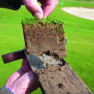 Analys DNA Multiscan               Jord/vatten